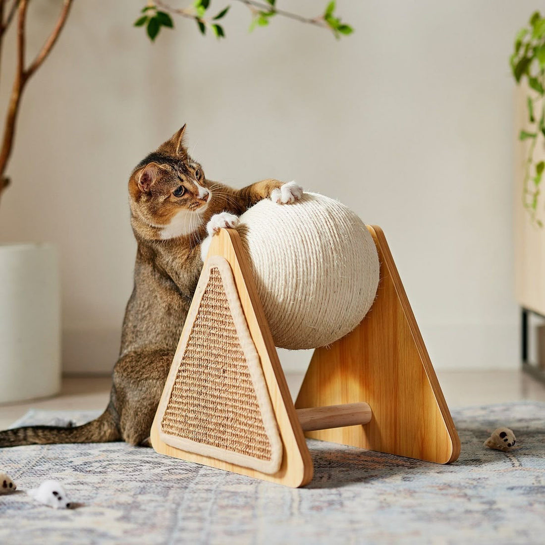 How to Choose the Perfect Toy for Your Pet's Personality